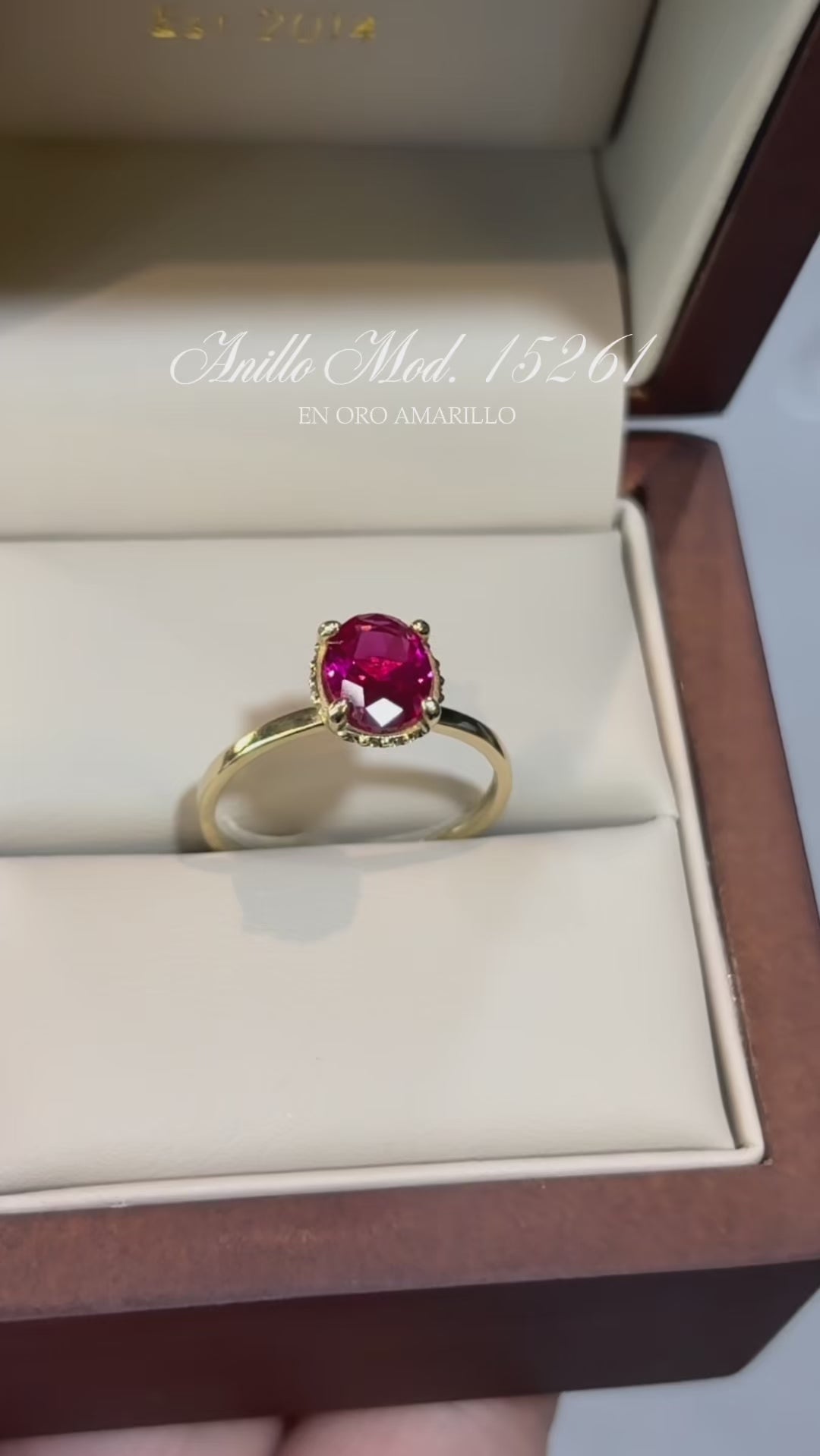 Anillo en Oro Amarillo 10k con Circonias Mod. 15261