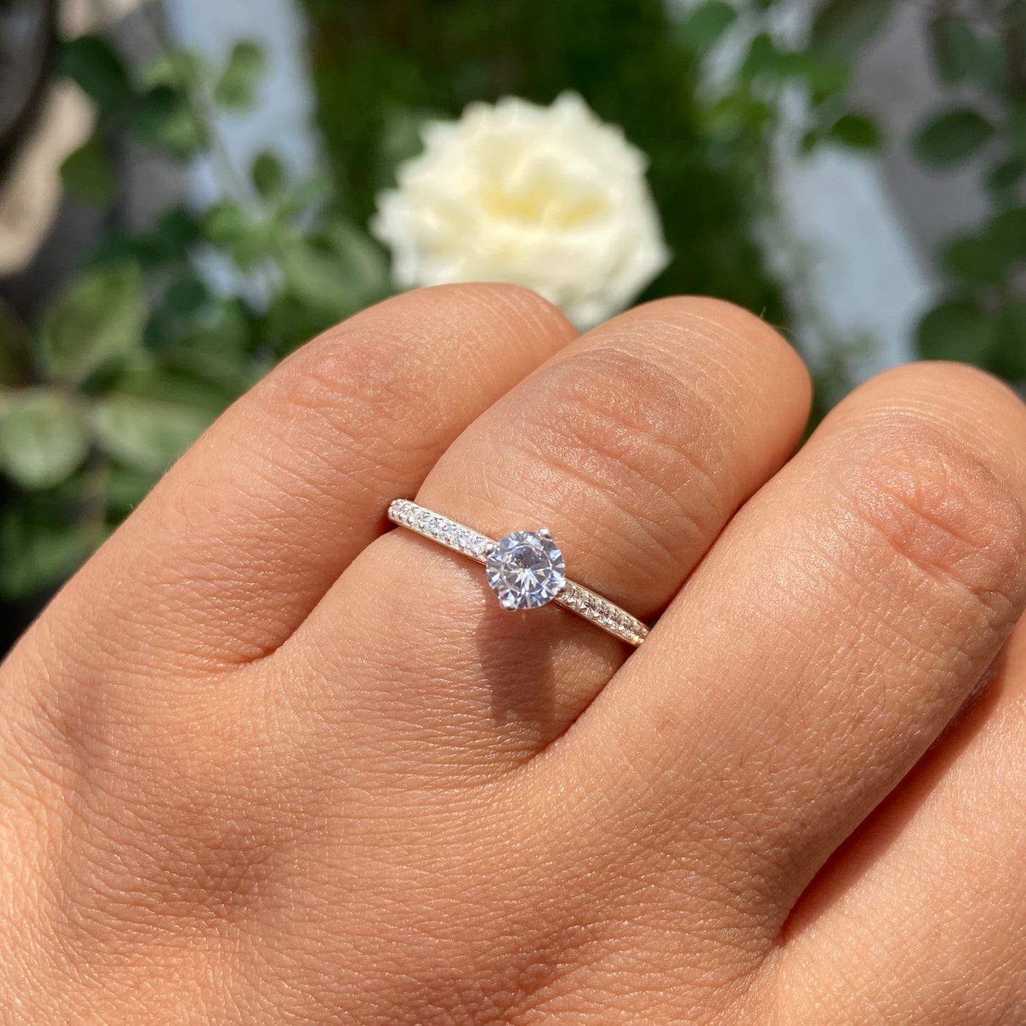 Anillo Arnel en Plata con Circonia