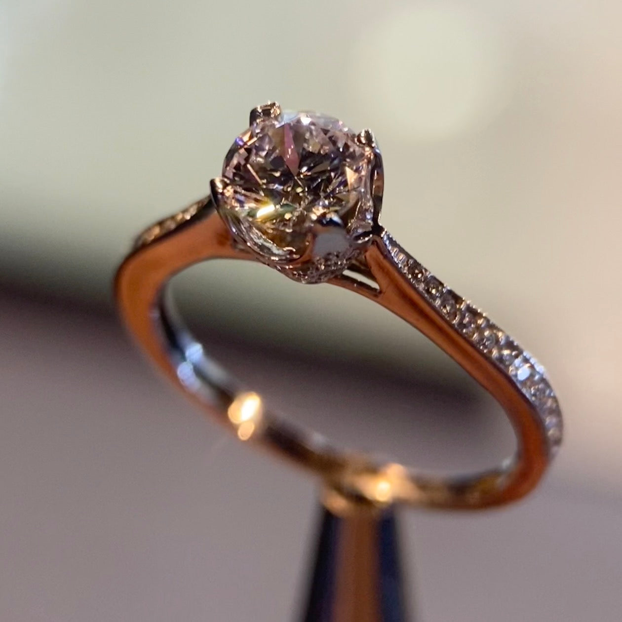Anillo de compromiso en oro