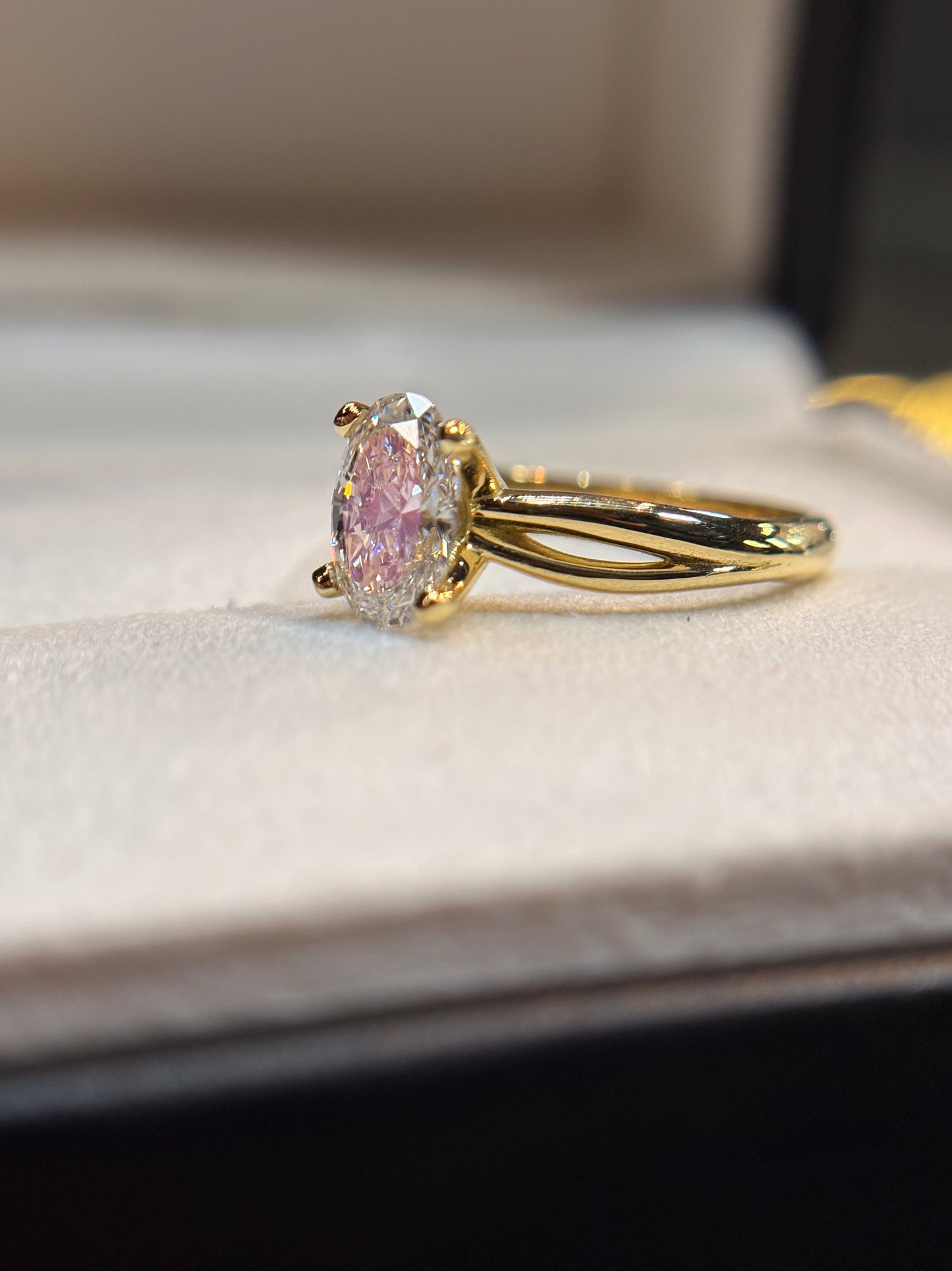 Anillo Cleopatra en oro