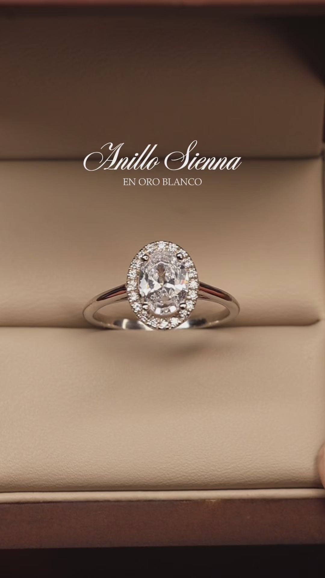 Anillo Sienna solitario en Oro Blanco 14k  con Circonias Mod.15894