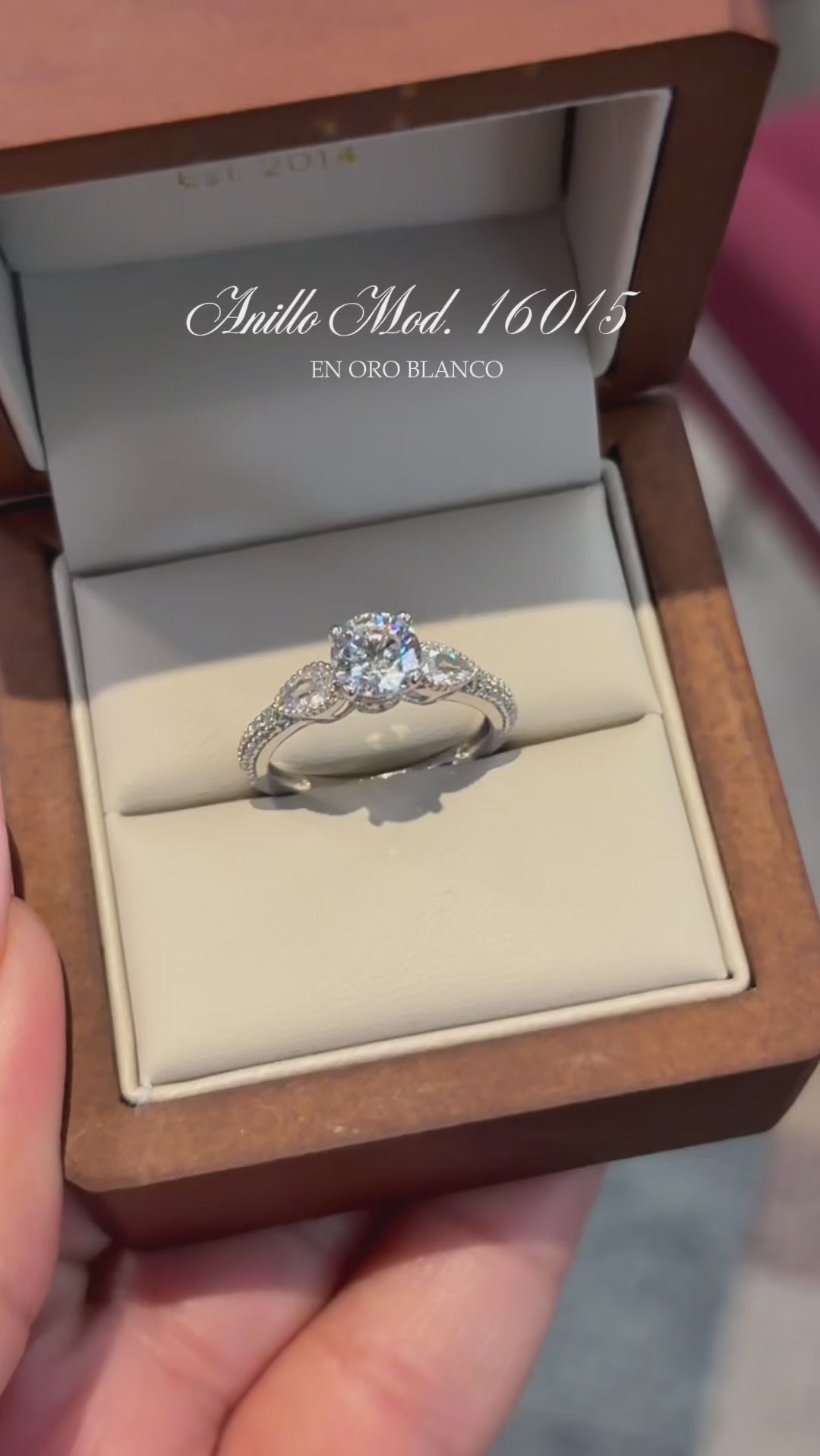 Anillo en Oro Blanco 14k con Circonias Mod.16015