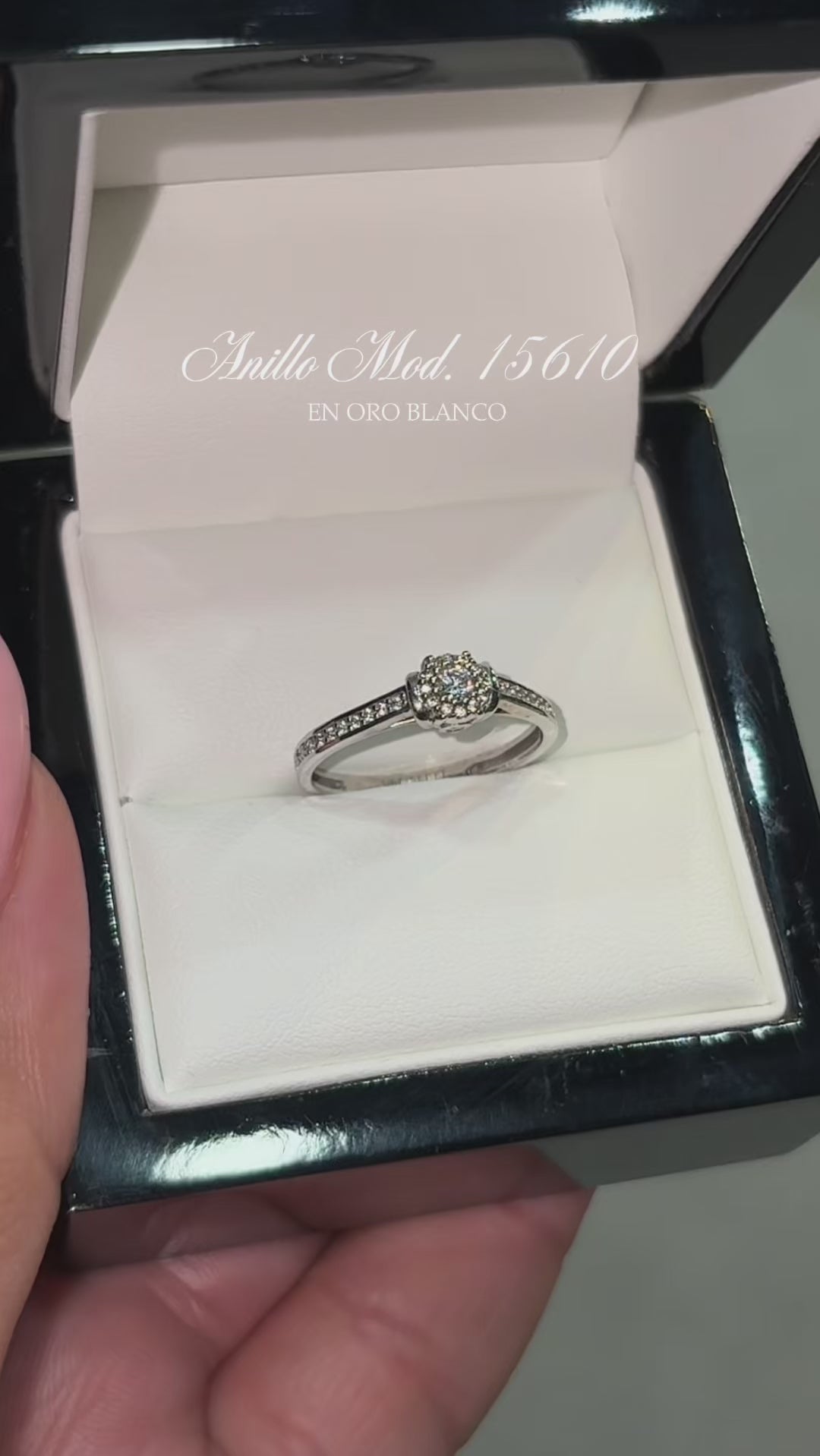 Anillo en Oro Blanco 14k con Circonias Mod. 15610