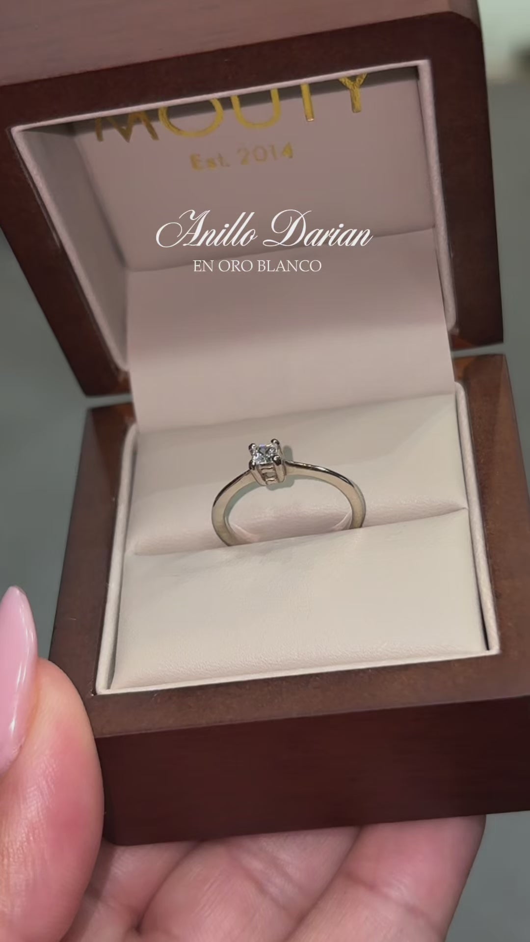 Anillo Darian en Oro Blanco  14k con Circonia