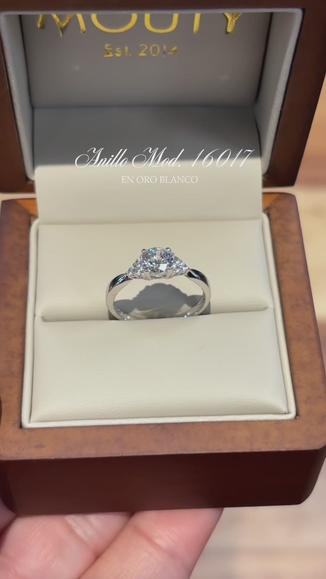 Anillo en Oro Blanco 14k con Circonias Mod.16017