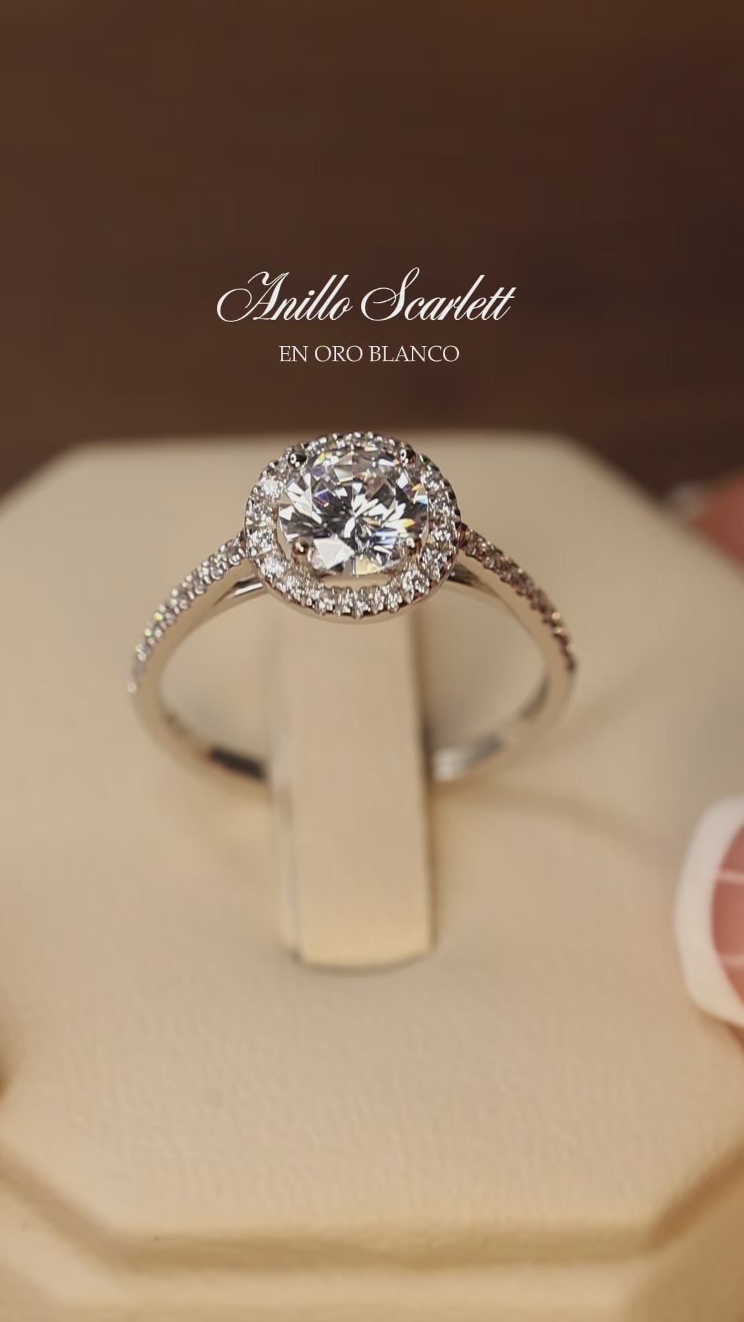 Anillo Scarlett con pave en Oro Blanco 14k con Circonias Mod.15896