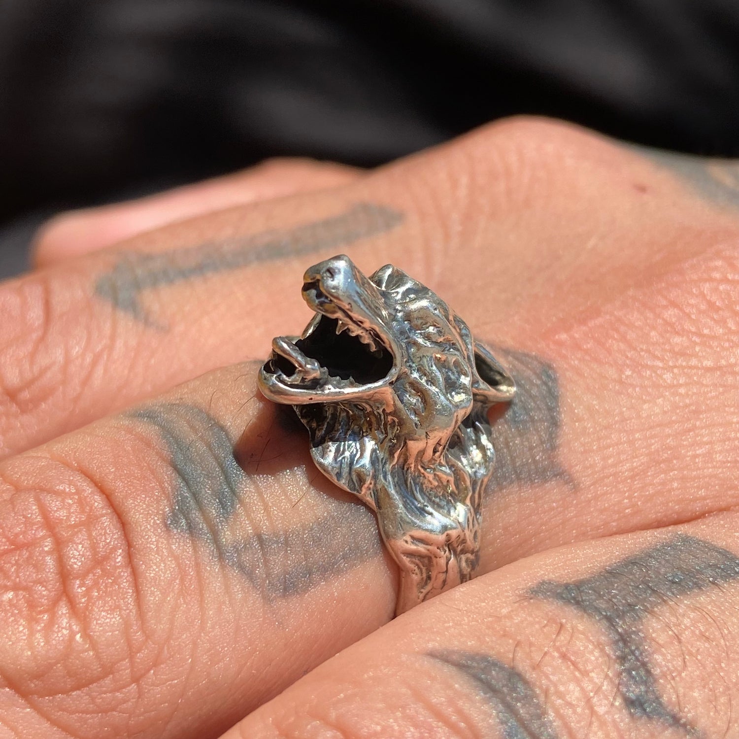 Anillo del lobo sale